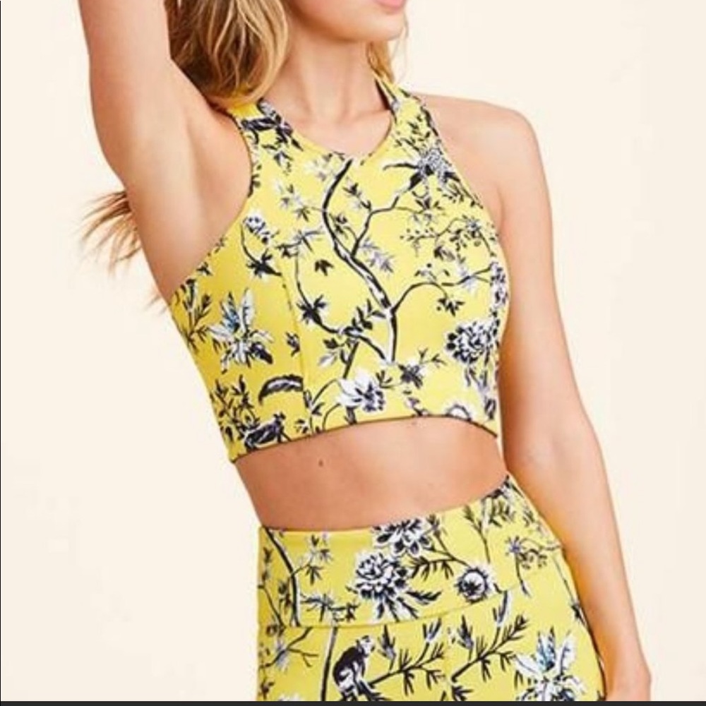 NWT! “ALALA” ANIMAL PRINT CROP TOP SPORTS BRA
